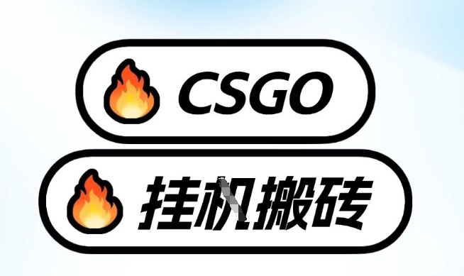真全网独家CSGO挂G，最新玩法,单日捡漏1K+，不用电脑，不用打游戏【揭秘】_02021500