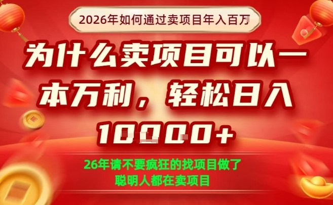 一单净利润1K+，26年想年入100个W，死磕卖项目就够了【揭秘】_03050909