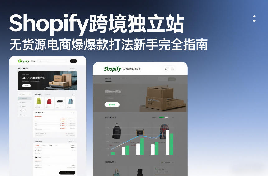 Shopify跨境独立站无货源电商爆款打法新手完全指南_02020935