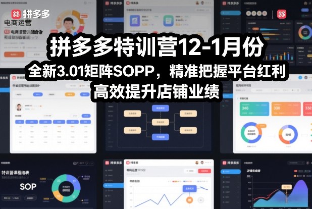 拼多多特训营12-1月份，全新3.01矩阵Sop，精准把握平台红利，高效提升店铺业绩_02031801