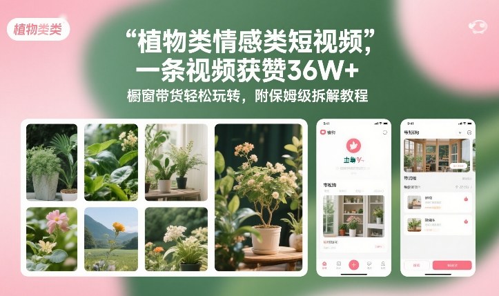 植物类情感类短视频，一条视频获赞36W+，橱窗带货轻松玩转，附保姆级拆解教程_02021451