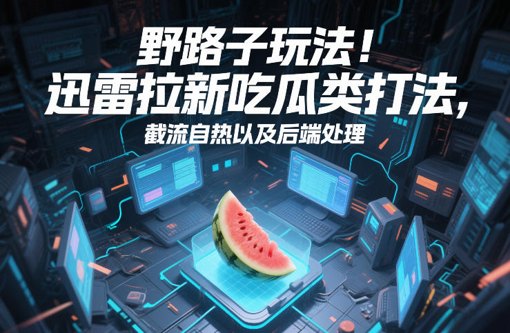 野路子玩法！迅雷拉新吃瓜类打法，截流自热以及后端处理_02030802