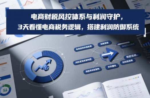 电商财税风控体系与利润守护，3天看懂电商税务逻辑，搭建利润防御系统_02021455