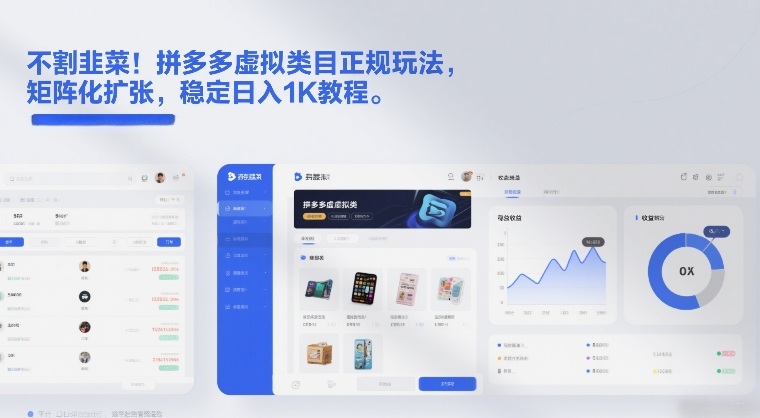 不割韭菜！拼多多虚拟类目正规玩法，矩阵化扩张，稳定日入1K教程【揭秘】_02011107